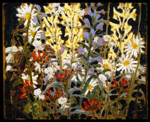 Fleurs sauvages